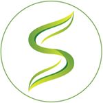 سالاد باسكيت SALAD BASKET