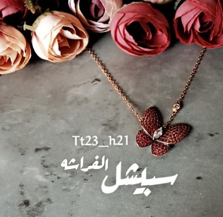 tt23_h21