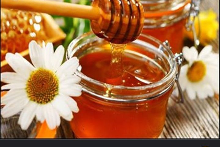 مناحل خيرات المع