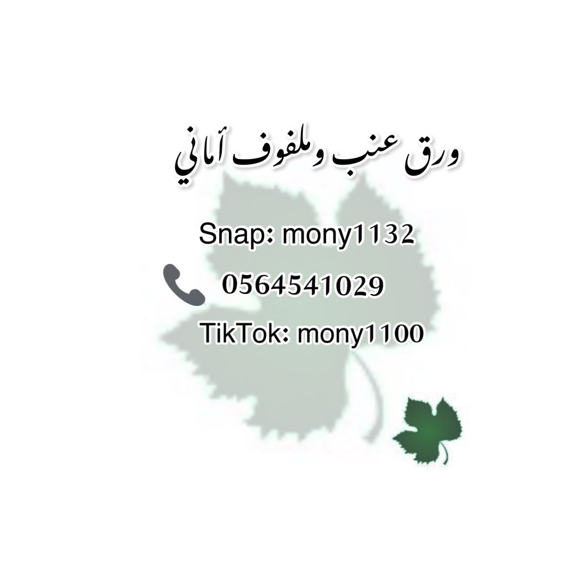 ورق عنب وملفوف أماني