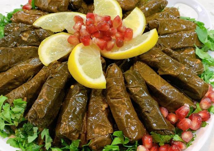 سلمى عثمان ابراهيم