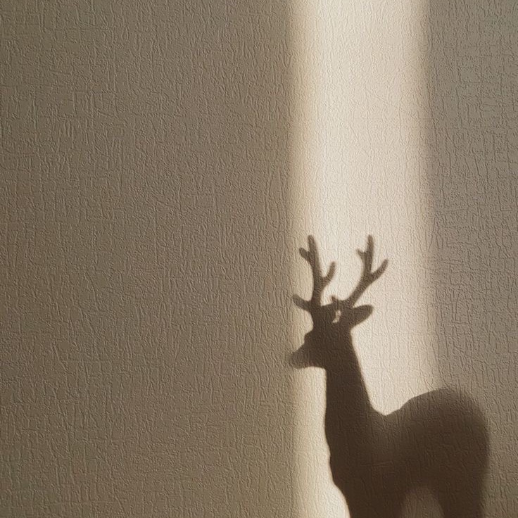 النوري