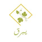 يبرق