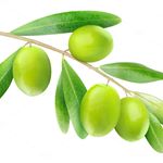 Pure Olives