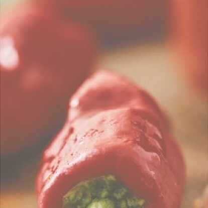 فطور اليوم برعاية chili chill