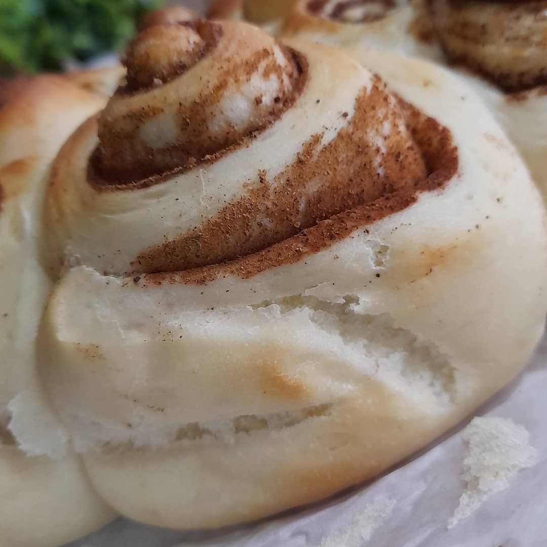 السنبون الحجم كبير