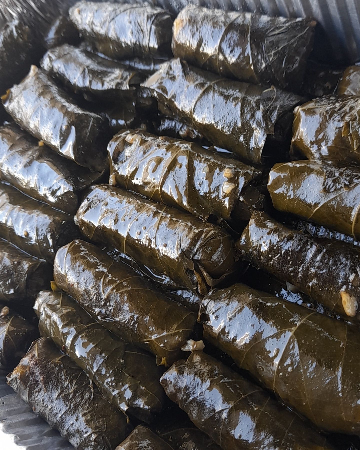 ورق عنب