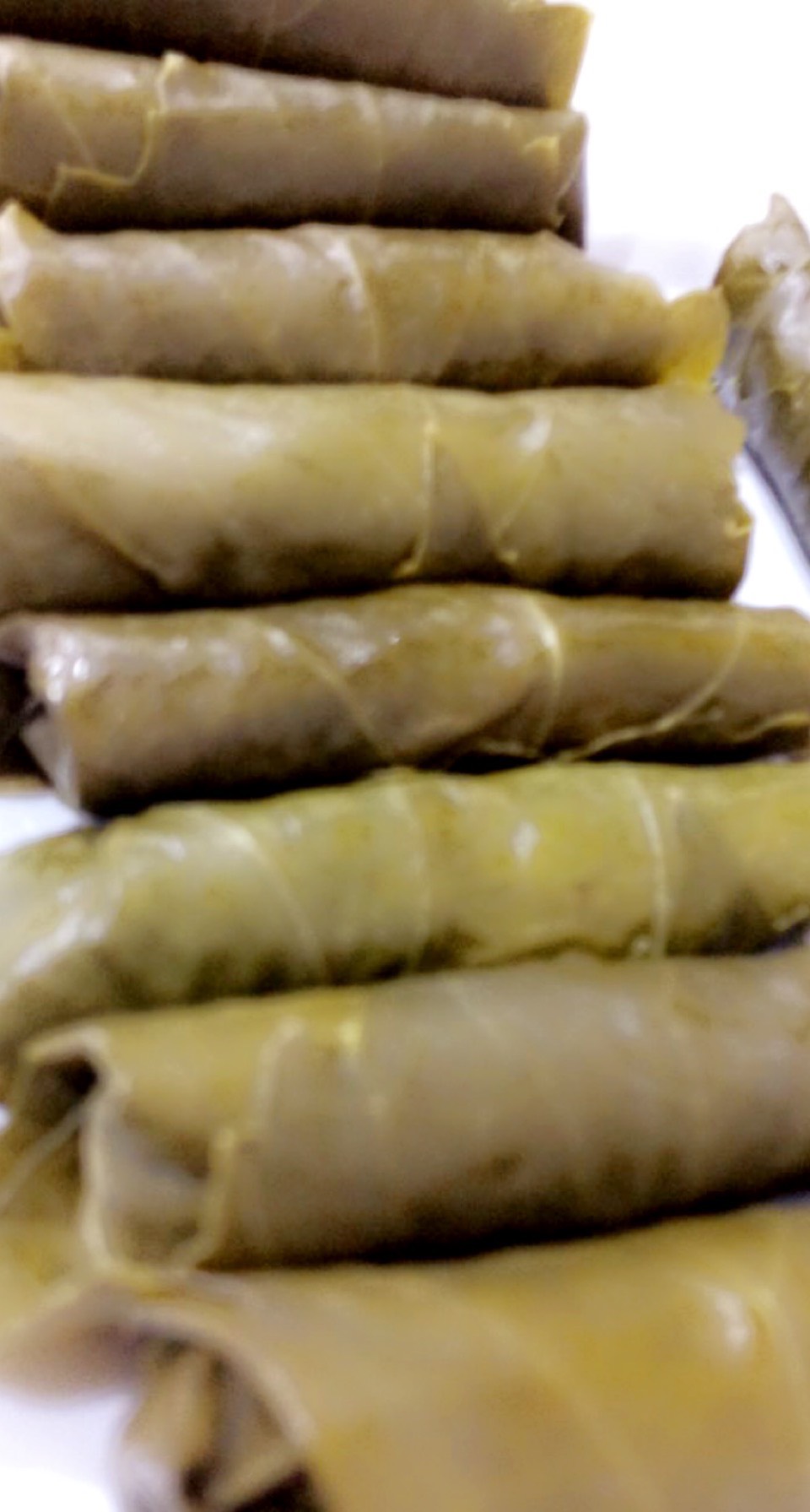 ورق عنب
