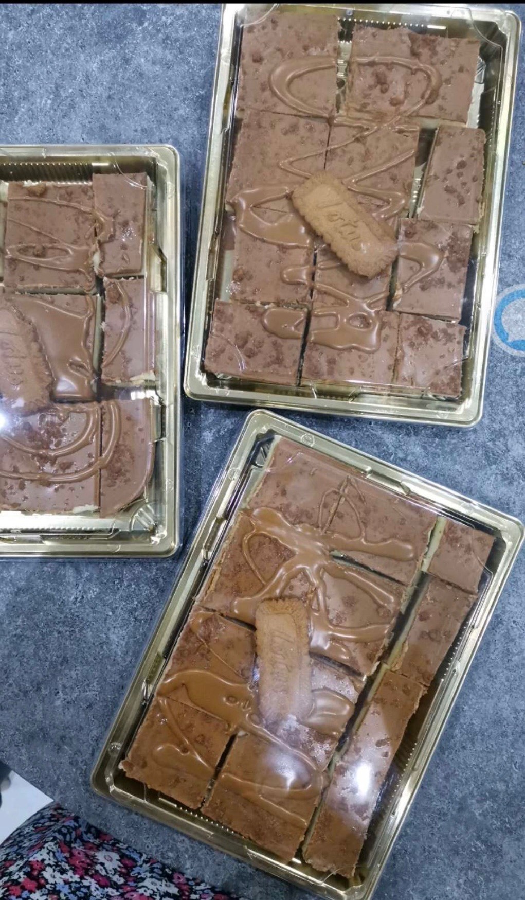 حلا تشيز اللوتس