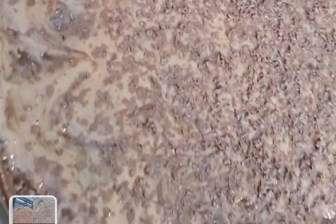 حلا الايسكريم