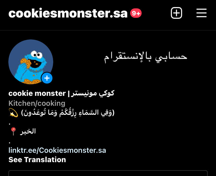 اتمنى اضافة الحساب على الإنستقرام