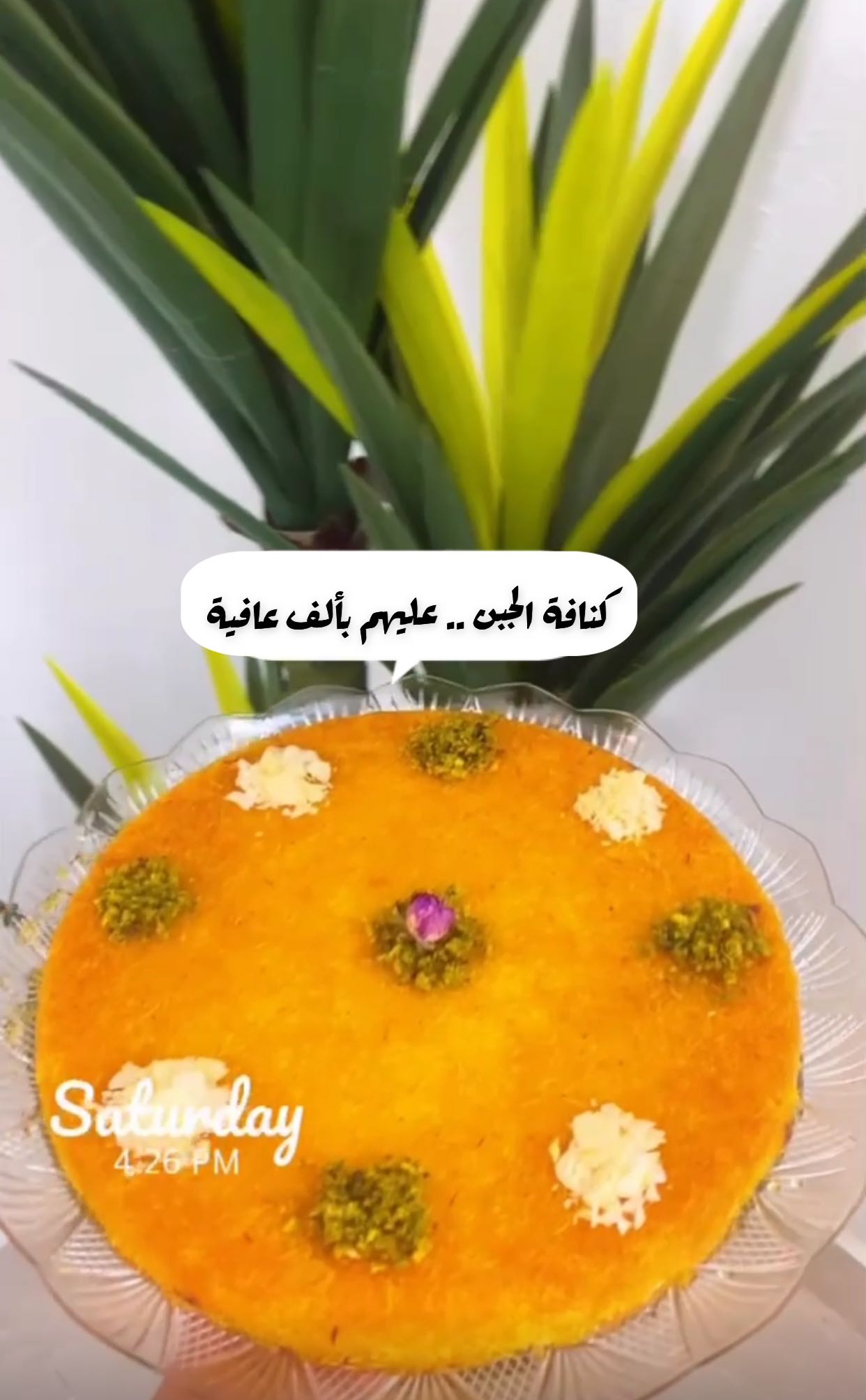 كنافة الجبن