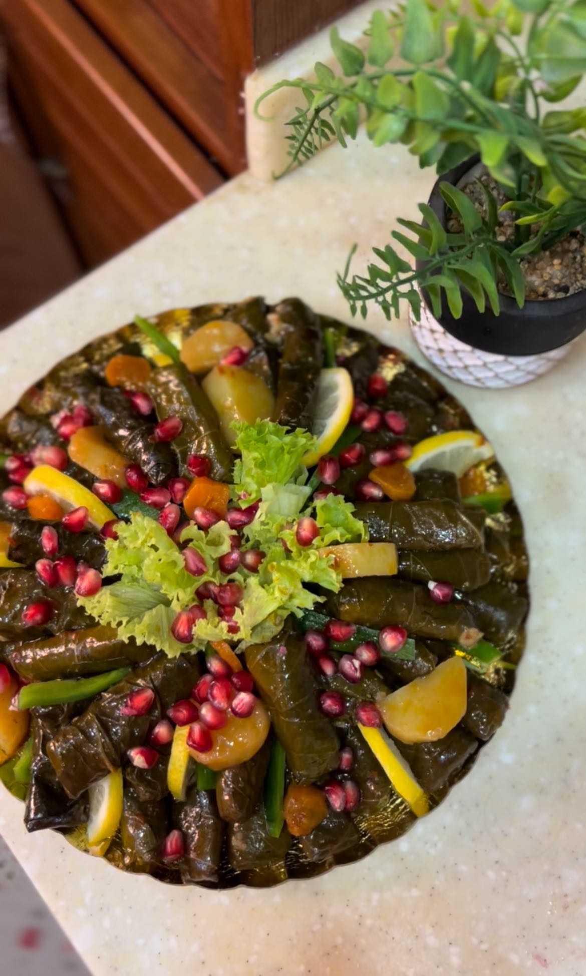 ورق عنب ابها ماجيك