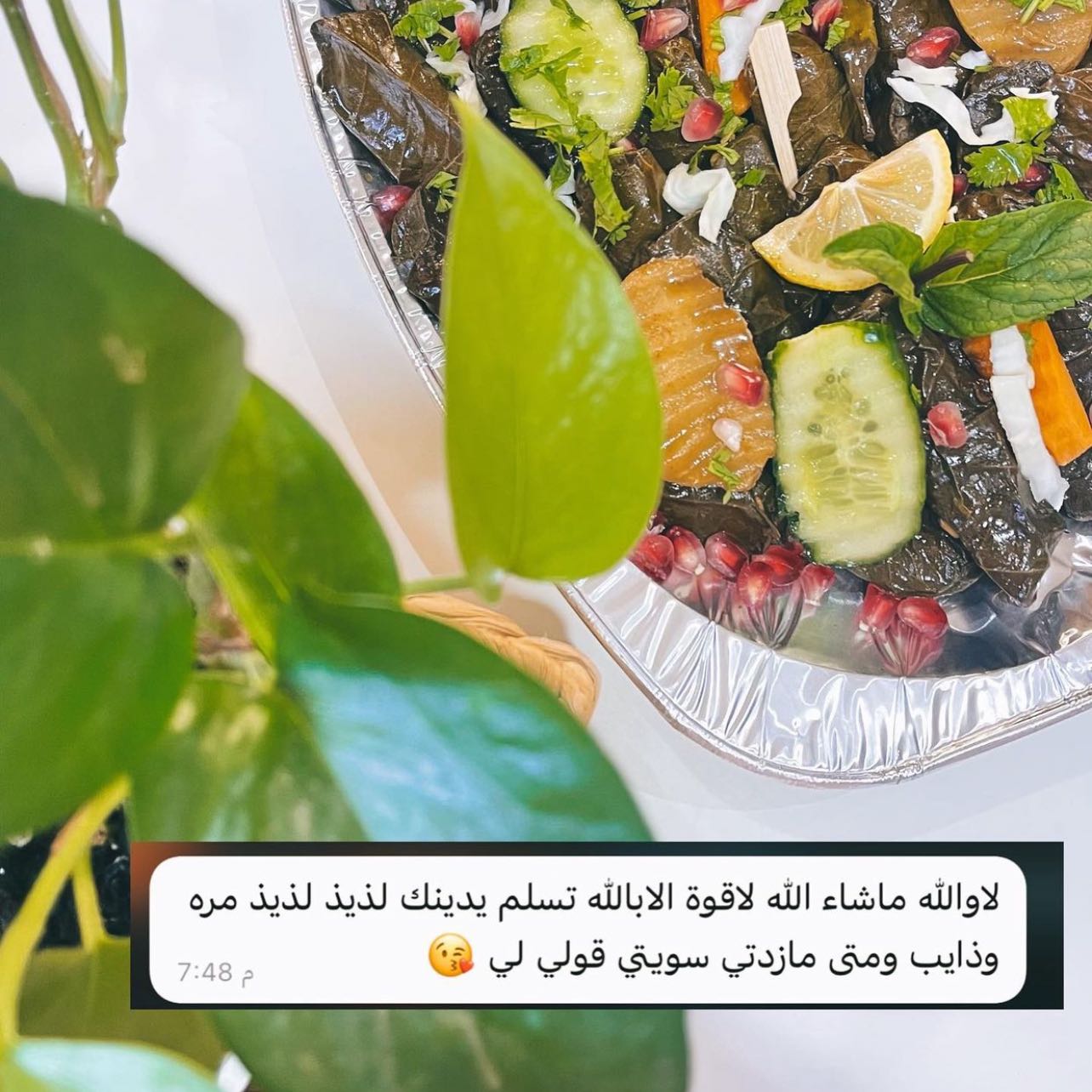 الصحن 50حبه ب 100﷼🌱
