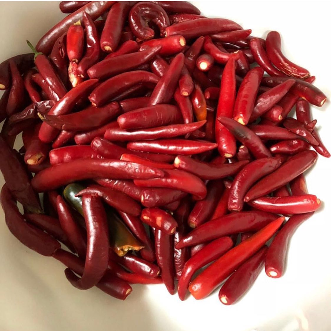 طلبات عملائنا ، صحة وعافية عليكم ♥️