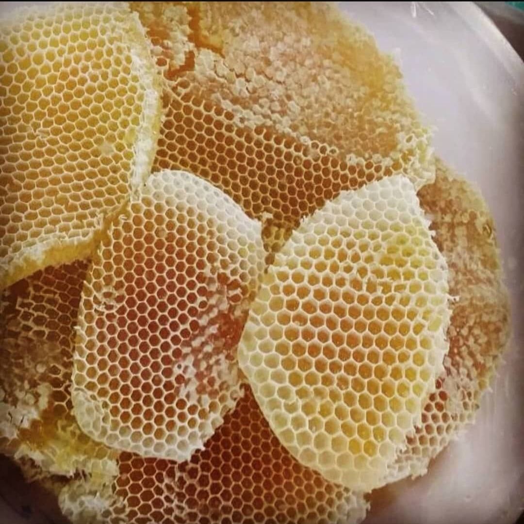 شمع عسل سدر اصلي