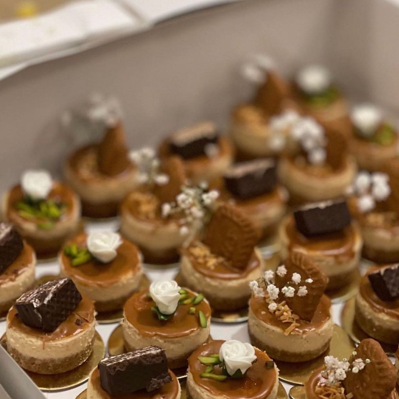 حلا مني تشيز الحبه ٥ ريال في صينيه كبير