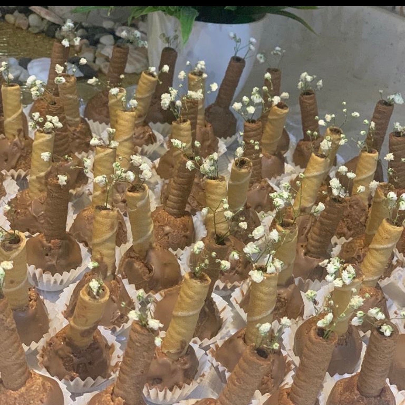 حلى وده