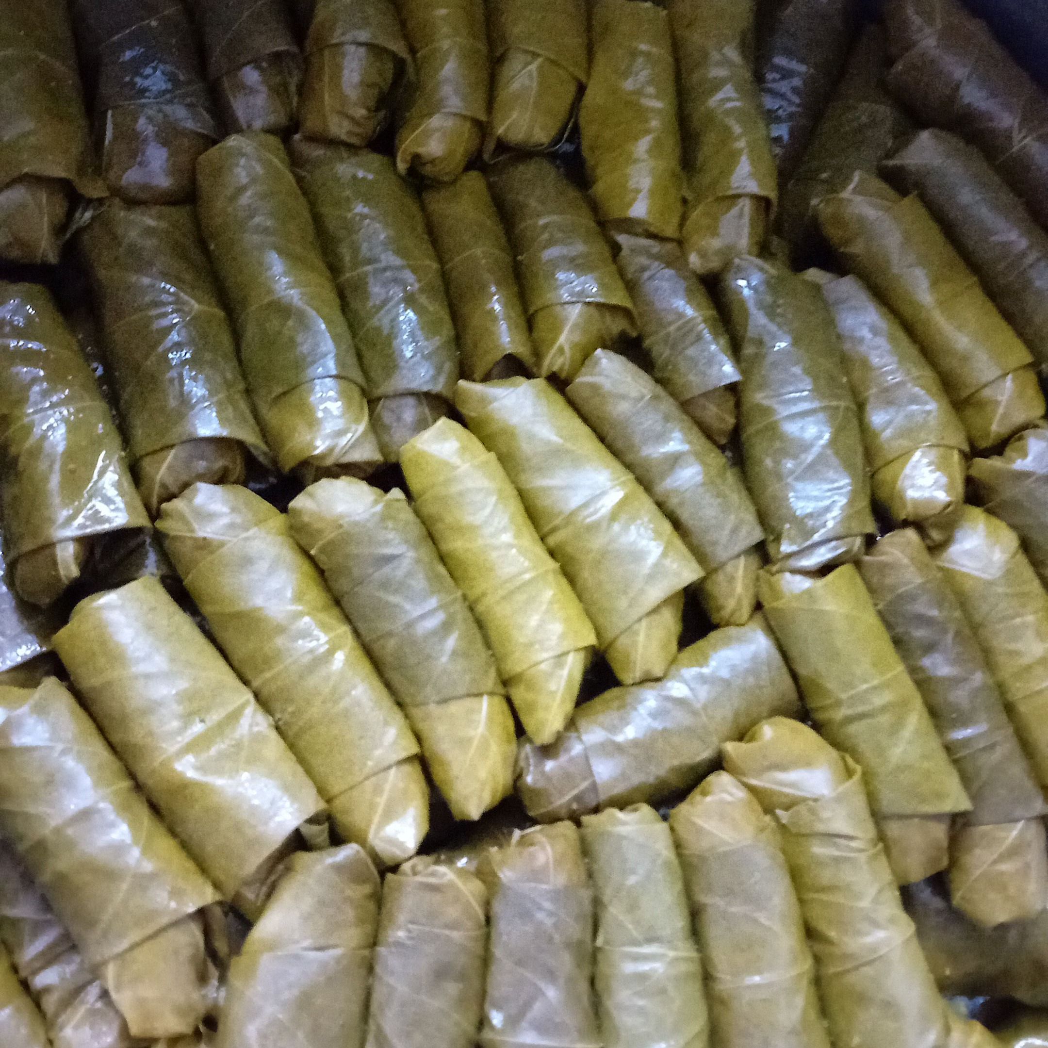ورق عنب (يبرق)
