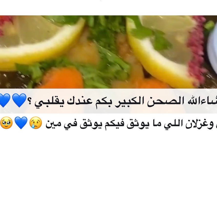 راي زبايني