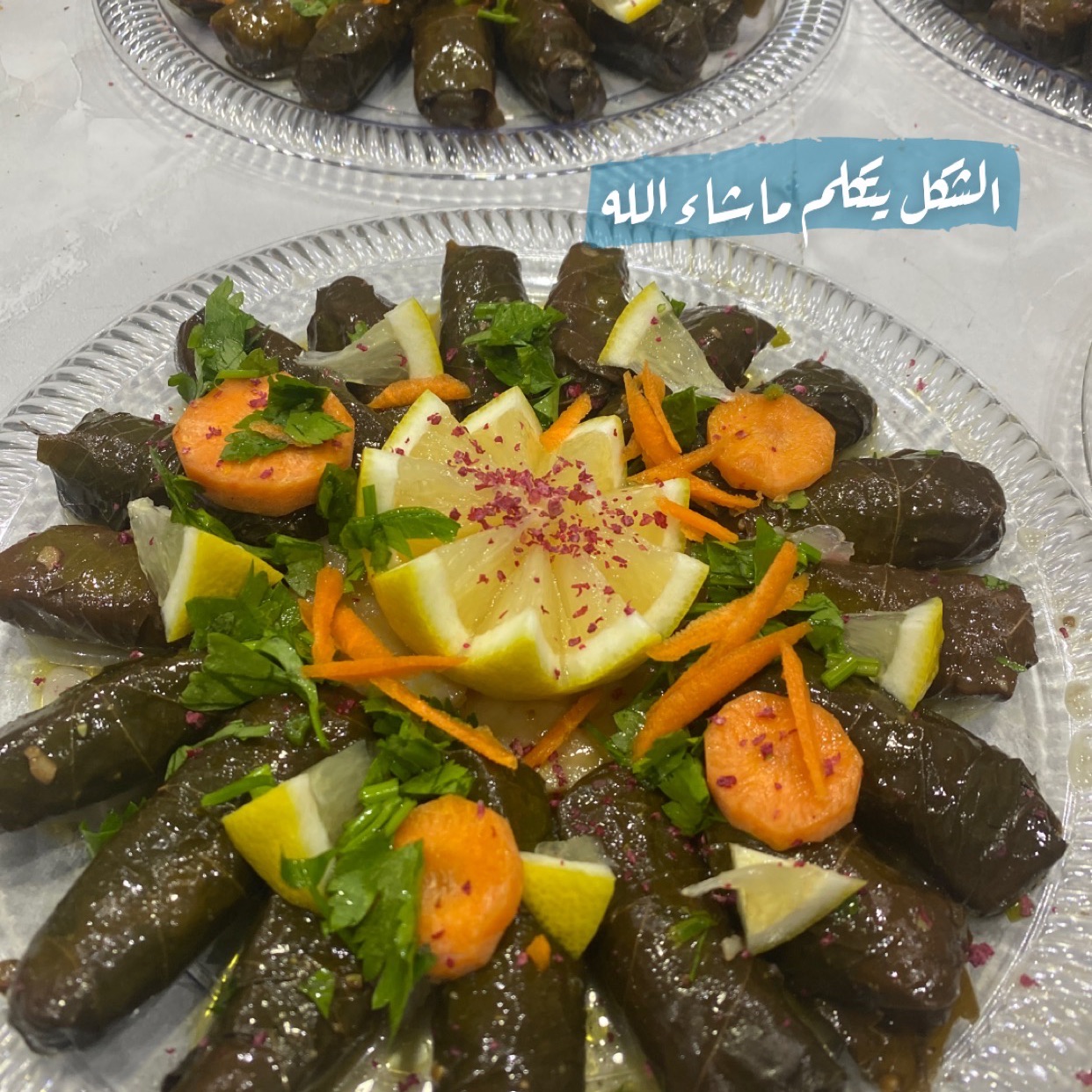 ورق عنب ملكي الشكل يحكي