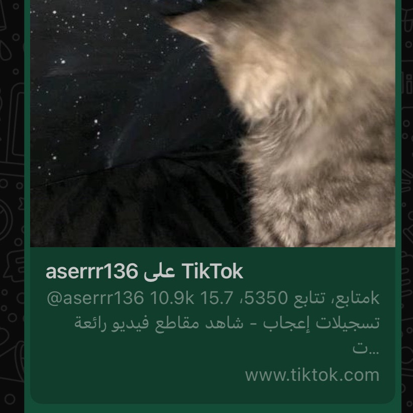 حسابي في التكتي الطلبها
