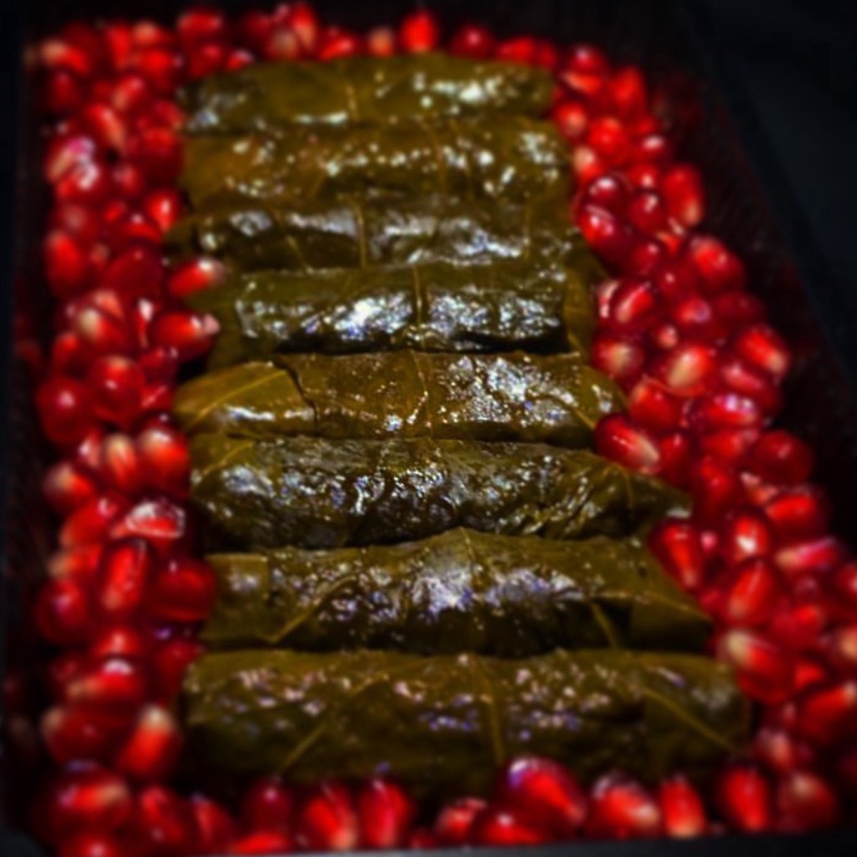 8حبات ب16