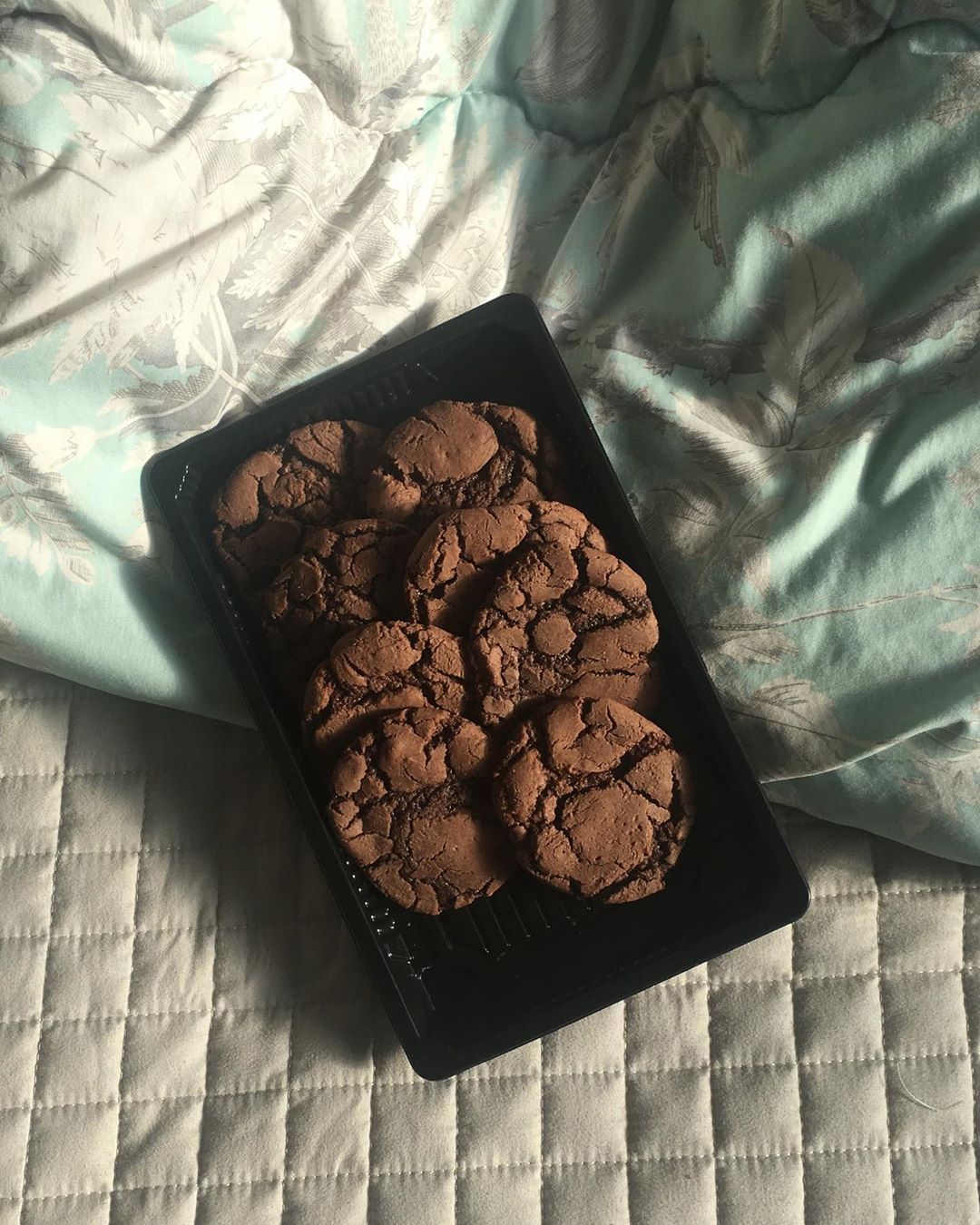 صباحكم بشر وسرور وكوكيبز ♥️