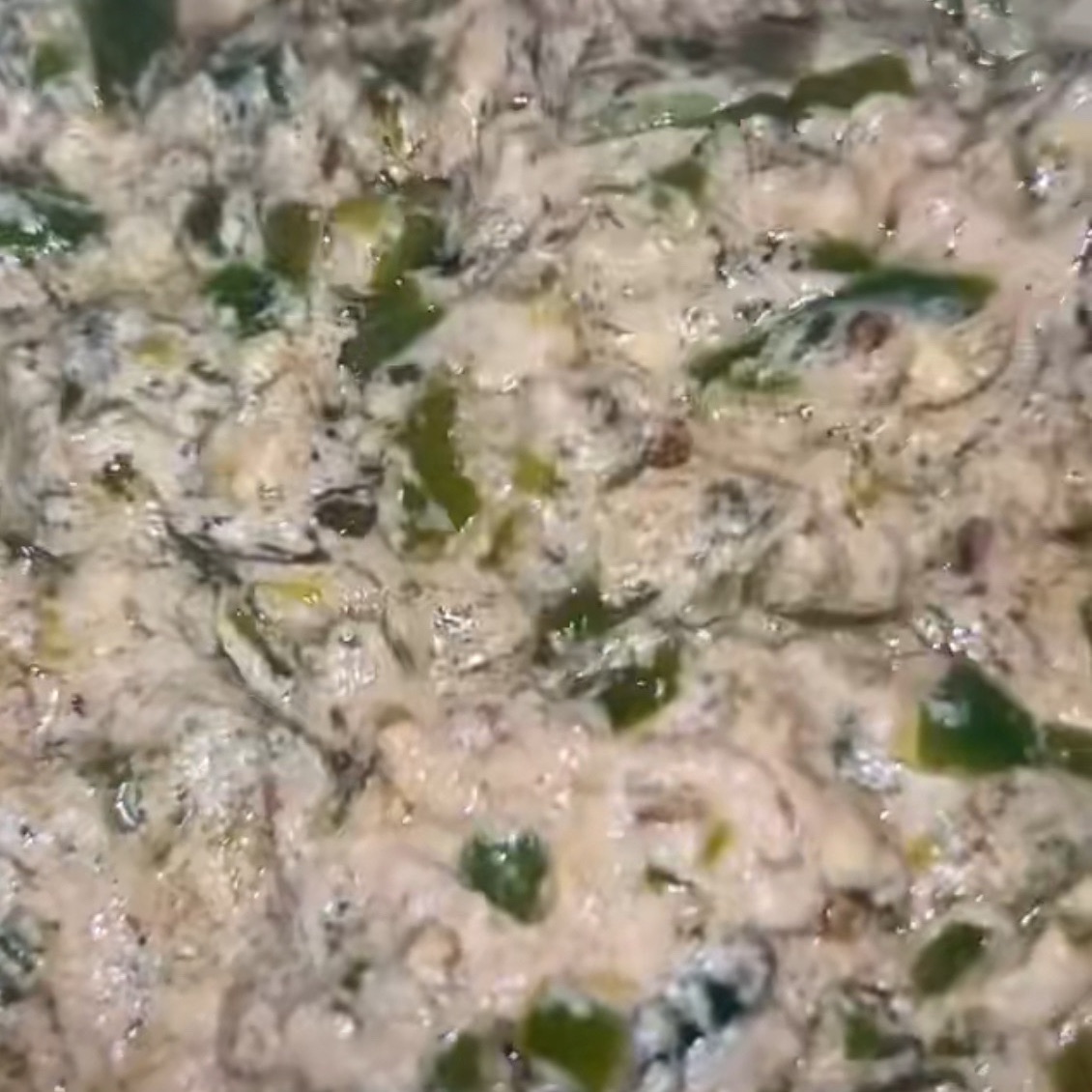 فلفل بطحينه مزازه ولزلزه من الاخر🥰