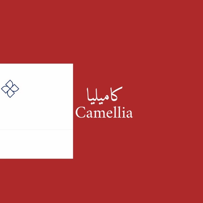 جديدنا موهيتو كاميليا