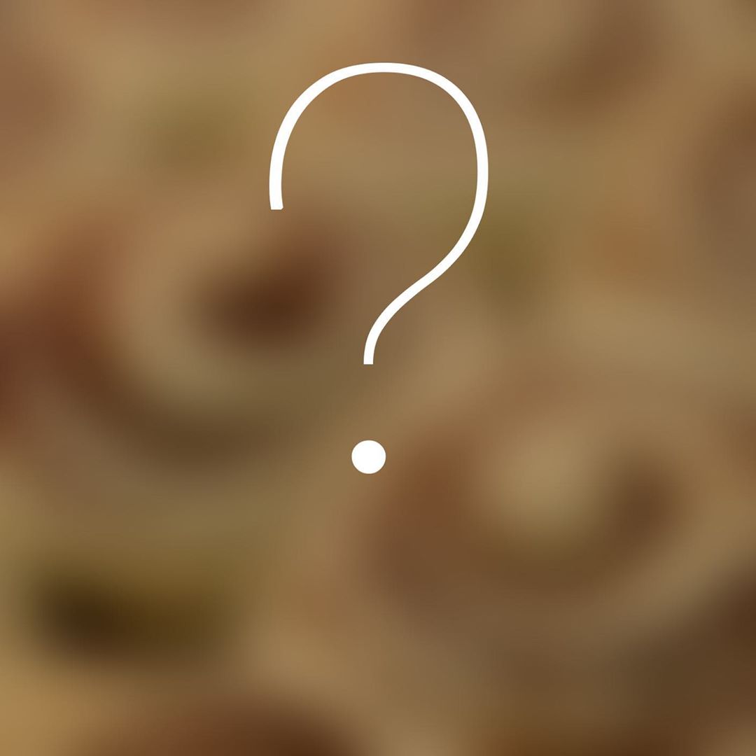 2306815968817306367_