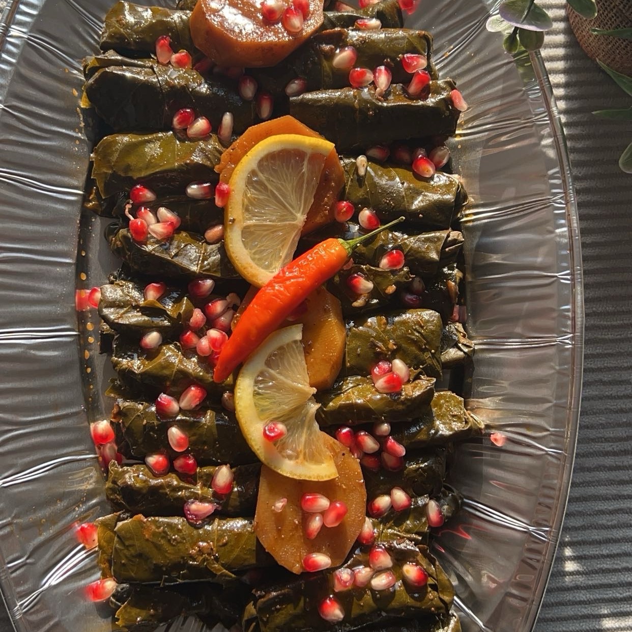 الذ ورق عنب في تبوك☘️
