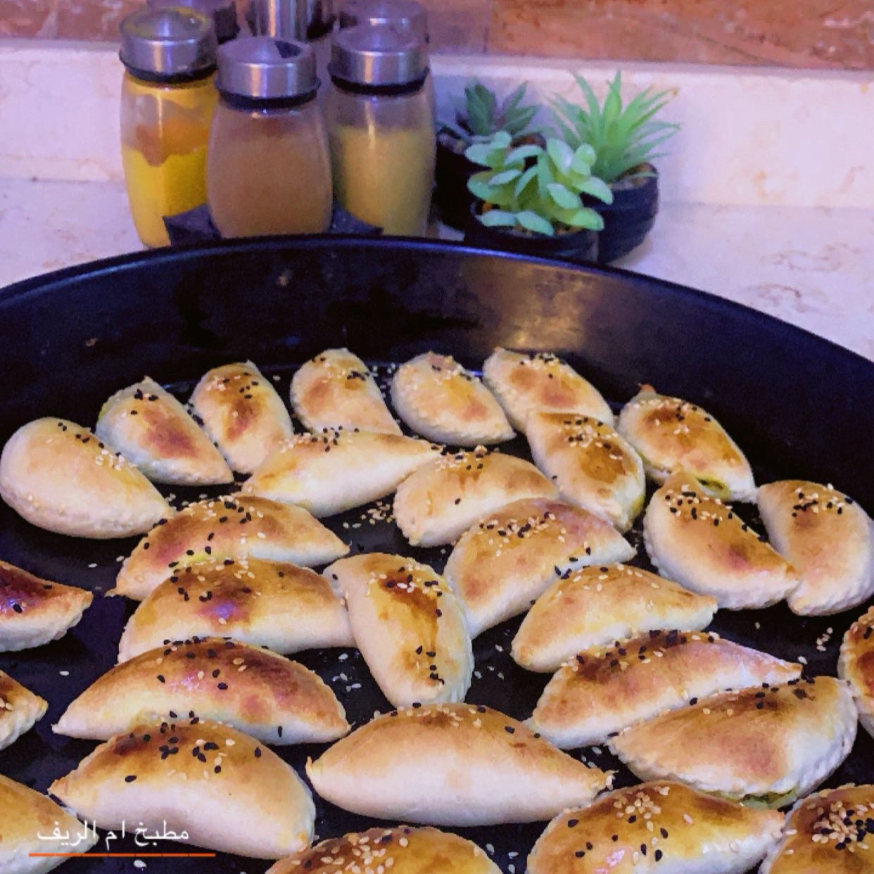 فطاير دجاج