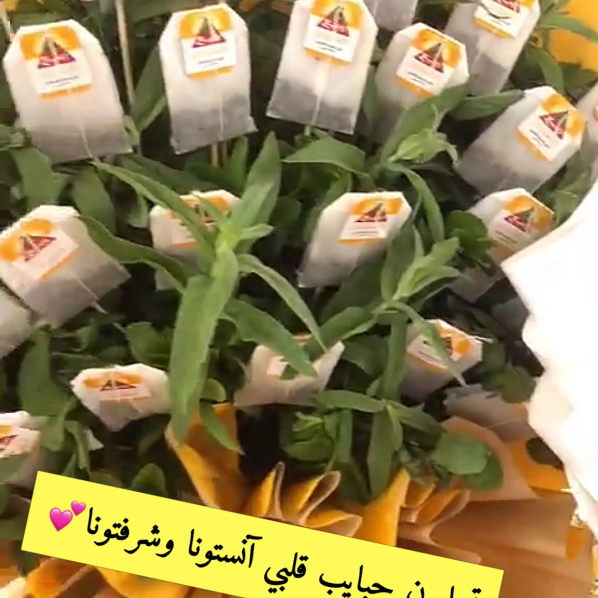 توزيعات ليوم الوطني