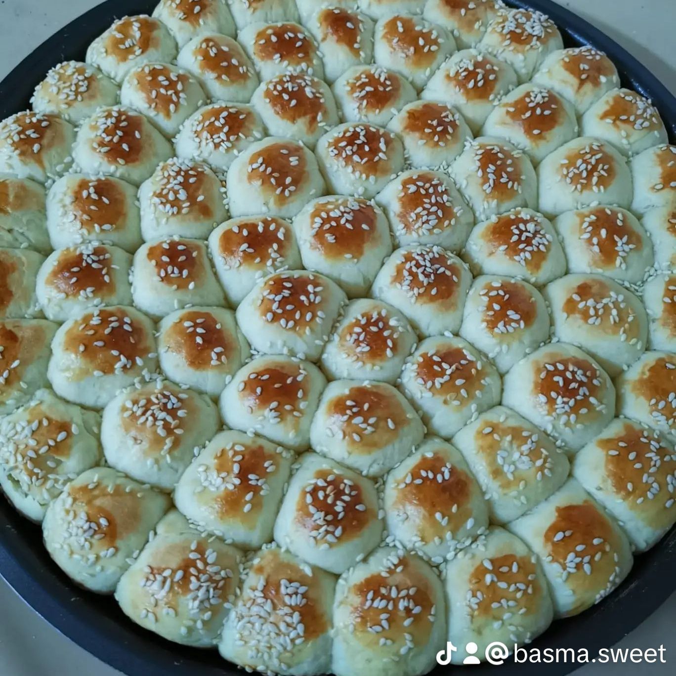 خلية نحل بالشيرة او الحليب المحلى