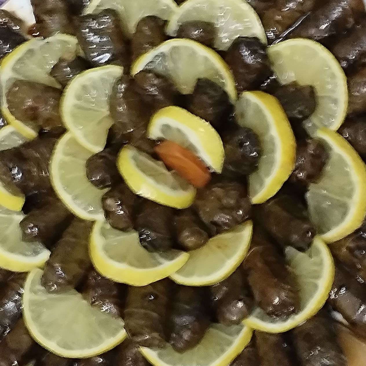 ورق عنب لذيذ بحشوات رز مصري مع خضروات طازجة