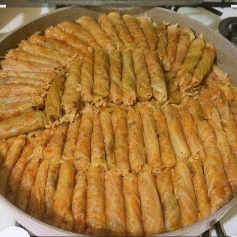 ملفوف