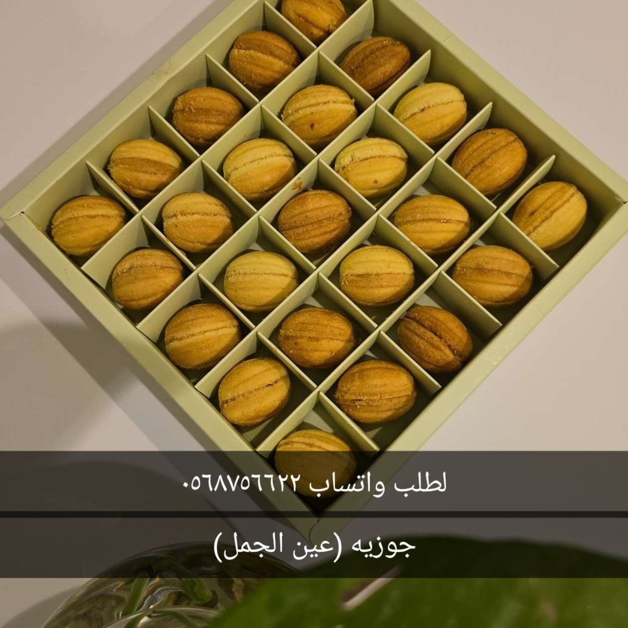 جوزيه ب توفي
