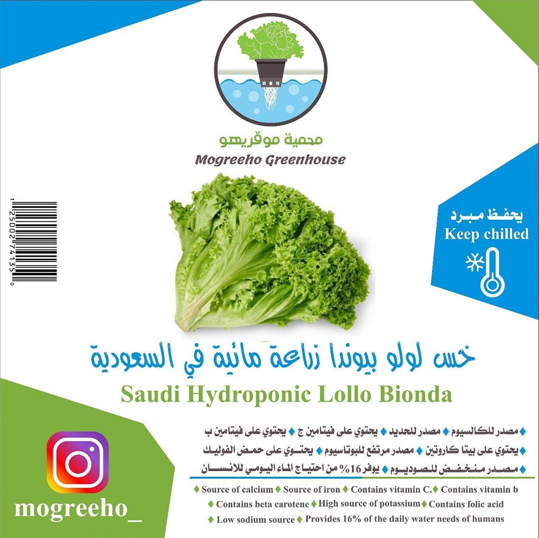 جاهز للقطف
