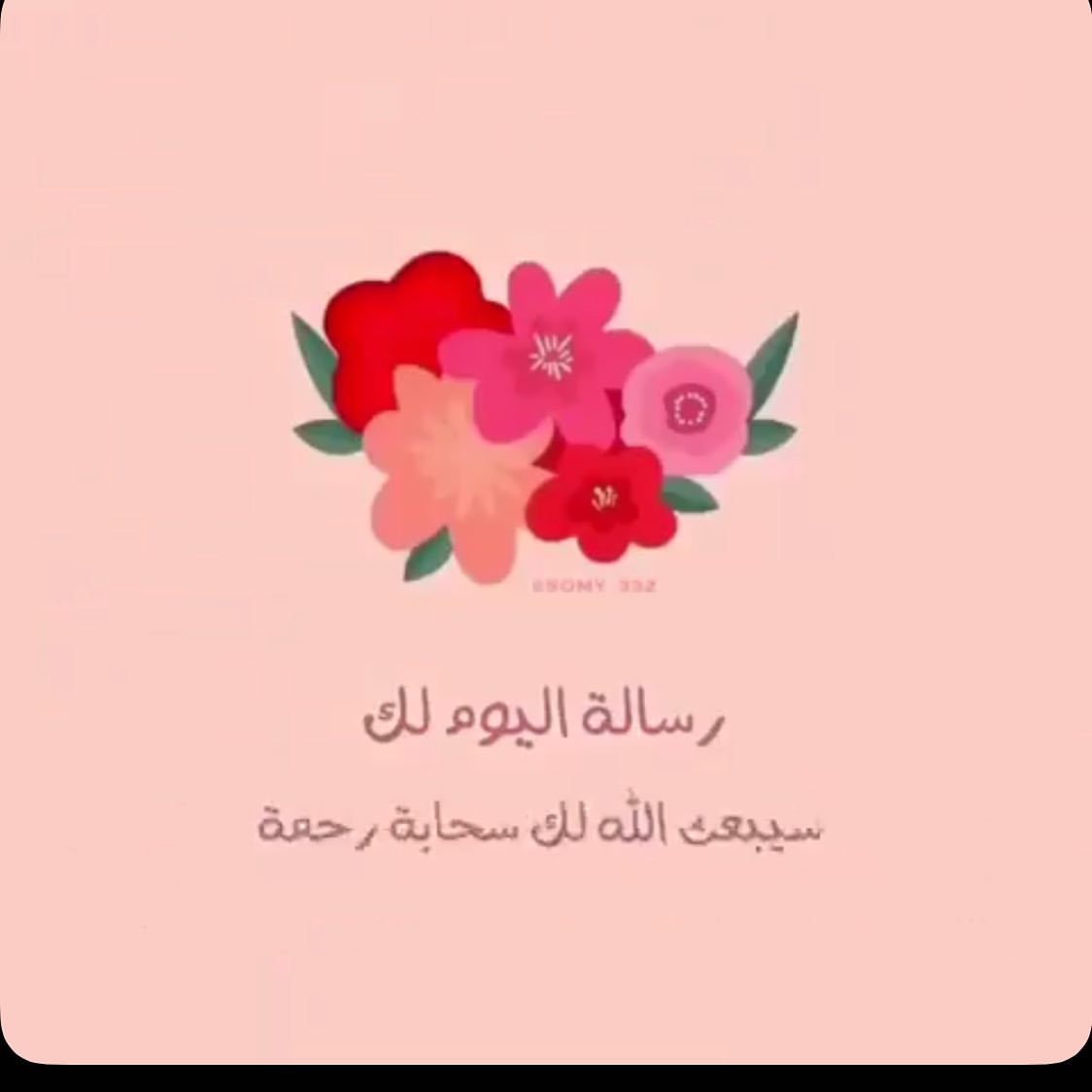 #طبخات_سهله #محشي_بصل #طبخات_لذيذه #استقبالات_مواليد #جوعان#لذيذ