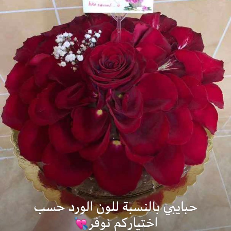 #عرعر_الان #عرعر_ستي #عرعر_مول #عرعر #عرعر_ #عرعرنا #عرعرمول #عرعر_اليوم #عرعر_لايف #عرعرة