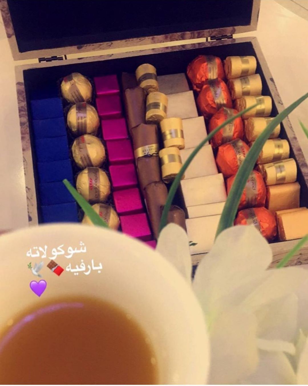 #عرعر_الان #عرعر_مول #عرعر #الجوف_الان #المدينه_المنوره #مكةالمكرمة #الاحساء #الجبيل #الظه