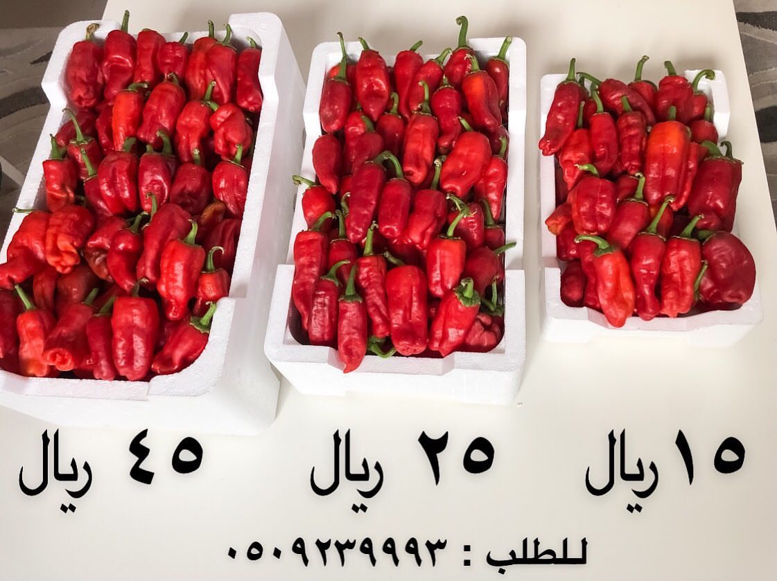 احجام مختلفة .. باسعار مناسبة لنلبي جميع إحتياجاتكم عملائنا الكرام ♥️.. #حبحر_شقراء #حبحر