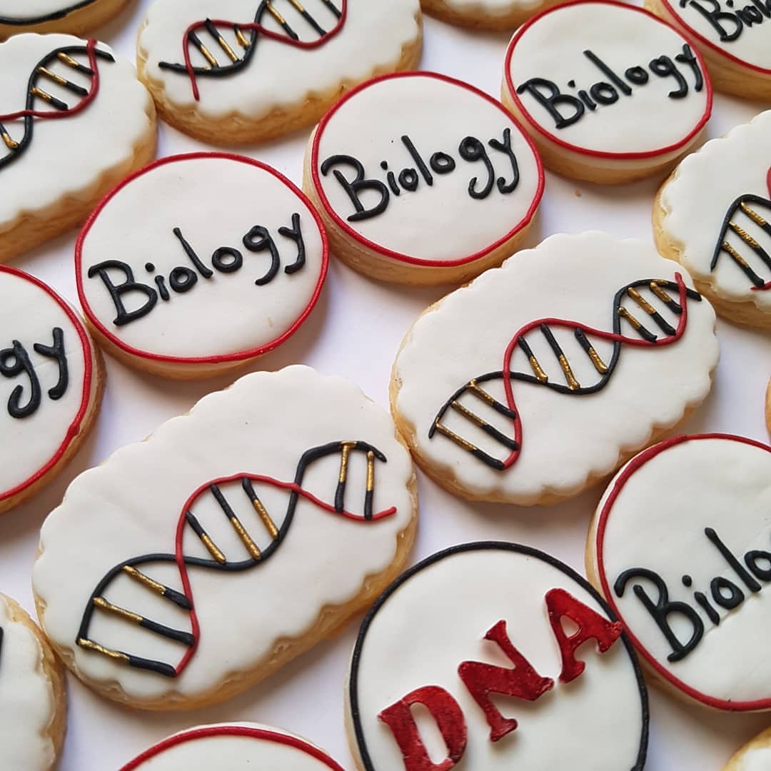 Zoom ' #cookies #cookiedecorating #cookiescake #sweet #الوان #تصوير #كوكيز #كوكيز_المناسبا