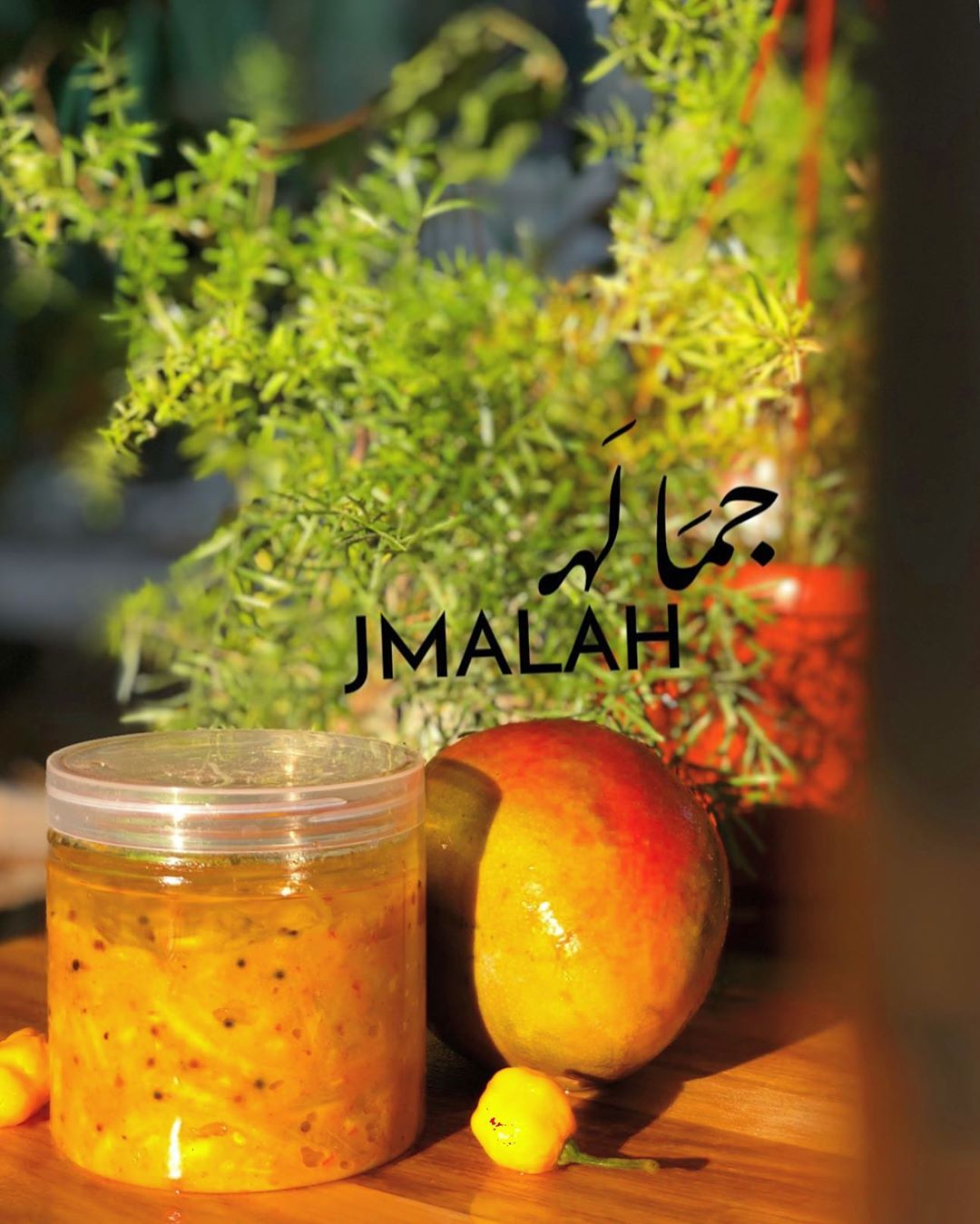 آجار مانجا #اجارات