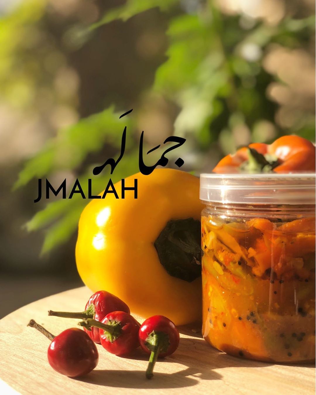 للحين ما جربتوا آجار الخضار !!#الشرقيه #الهفوف