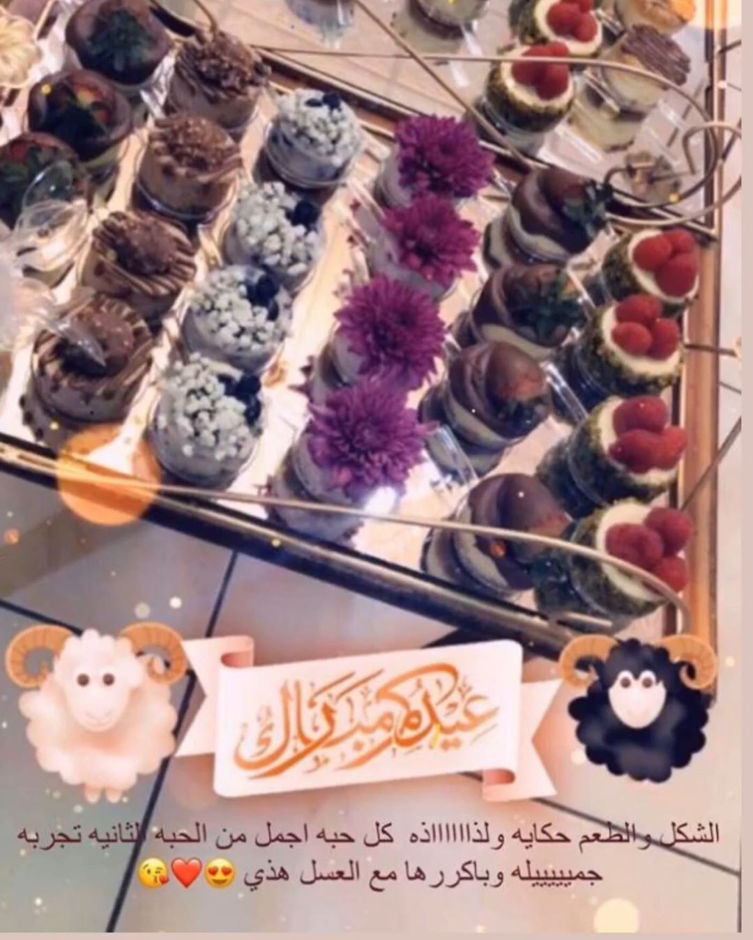 صباح الخير♥️.