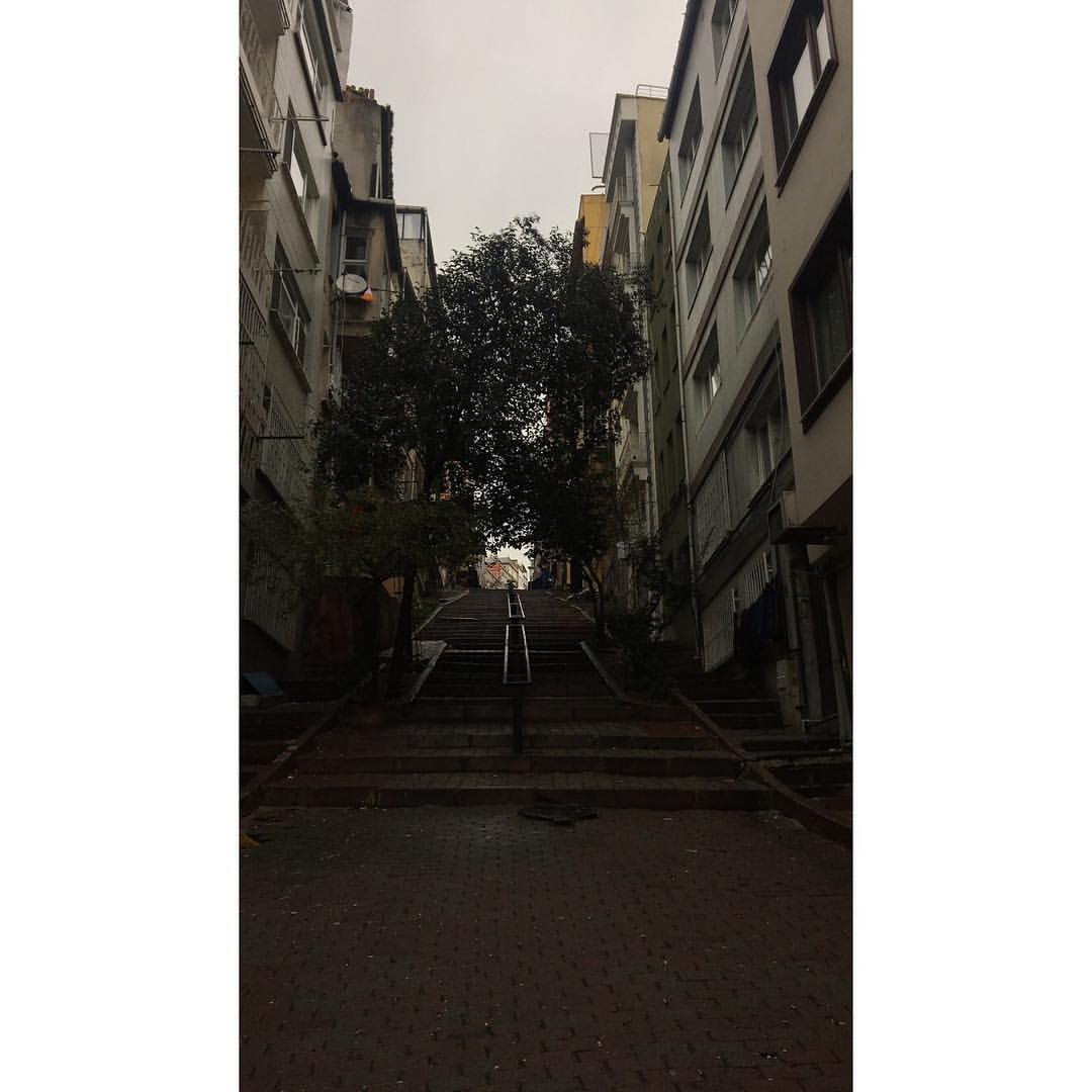 سررت بمعرفتك، اتمنّى ان لا نلتقي مرة اخرى ♥️