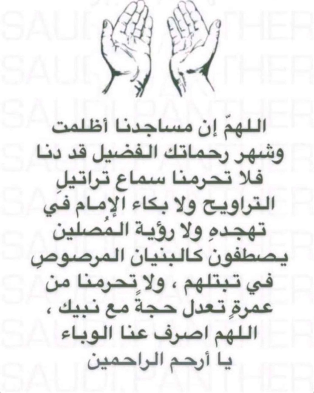 soon ✨ . . . . . . ‏‎#شوكلاته #شوكلاته_مميزة #شوكلاته_زواج #شوكلاته_مواليد #شوكلاته_ورد #