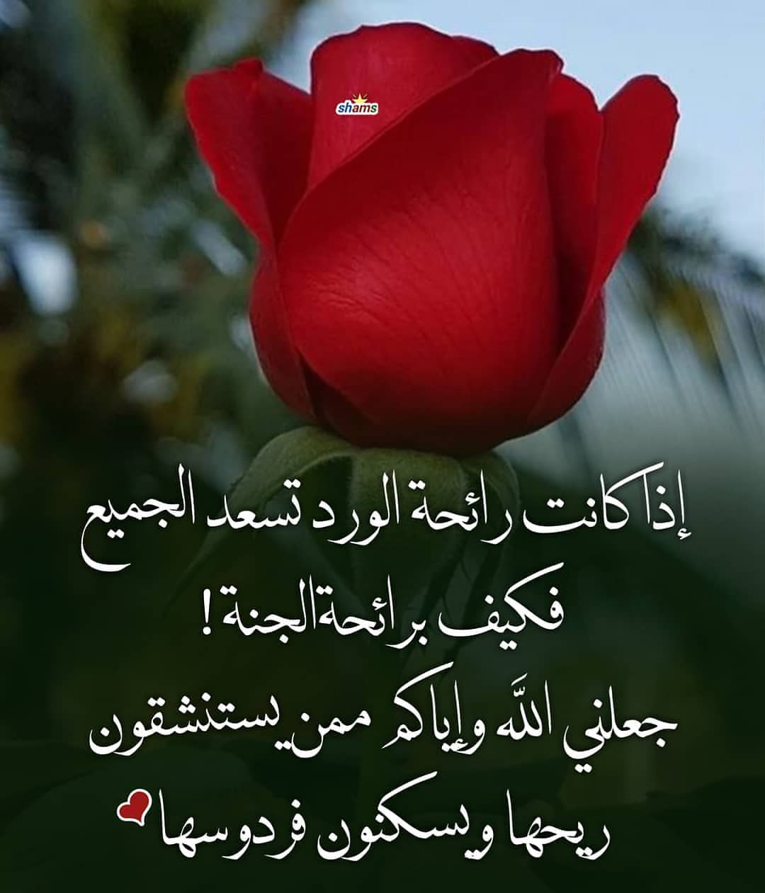 عجينة البف السريعه هشه ولذيذه طلبيت اختي ام عبد العزيز جهزناها وعليكم بالعافيه ❤